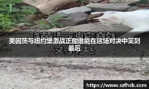 美因茨与纽约堡激战正酣谁能在这场对决中笑到最后